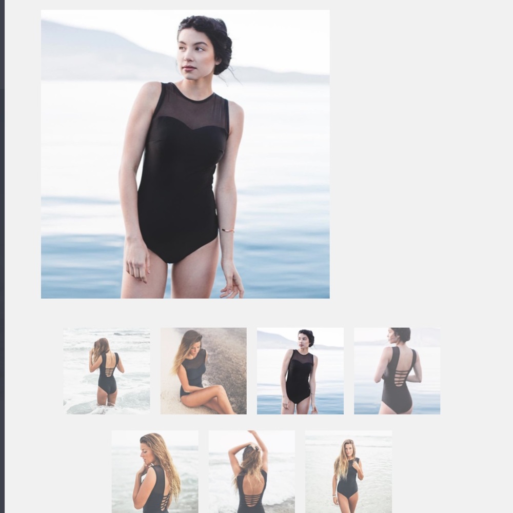 Albion Fit The Maria Mesh One-Piece Swimsuit